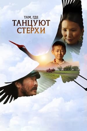 Image Where the Siberian Cranes Dance