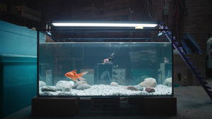 L&rsquo;Homme qui rétrécit