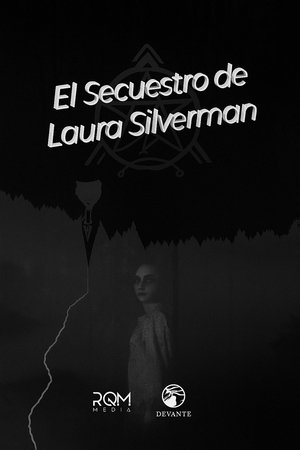 The kidnapping of Laura Silverman (2024)