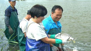 Episode 5 | StreamHub