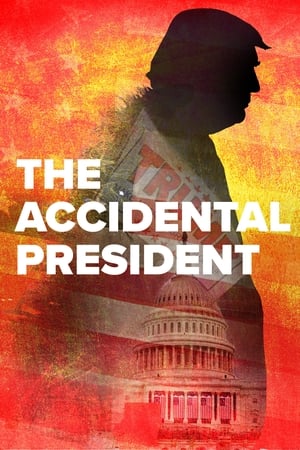 Image The Accidental President