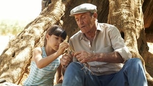 فيلم The Olive Tree 2016 مترجم اون لاين