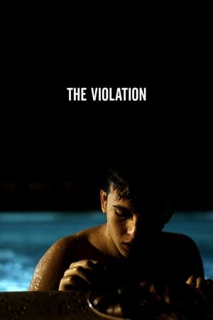 Poster The Violation 2013