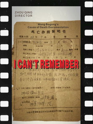 I Don't Quite Recall