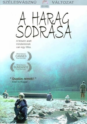 Poster A harag sodrása 2004