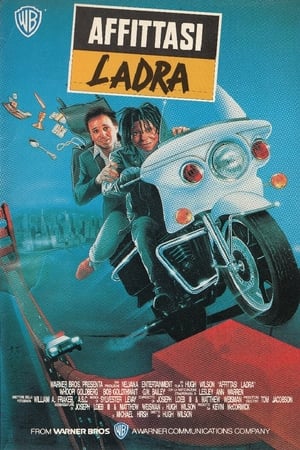 Poster Affittasi ladra 1987