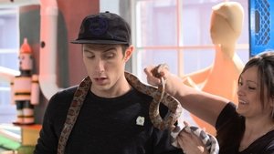 Cochon dingue: 1×40