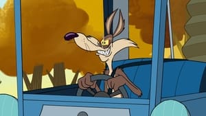 New Looney Tunes Wile E.'s Walnuts