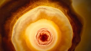 Voyage of Time : Au fil de la vie (2017)