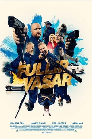 Poster Fullir Vasar 2018