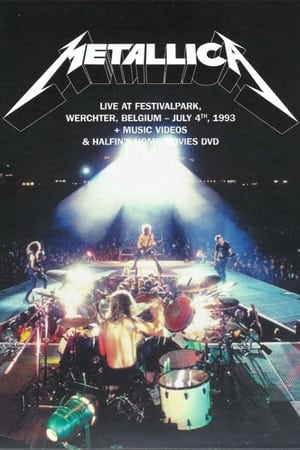 Poster Metallica - Live At Festivalpark 1993 2021