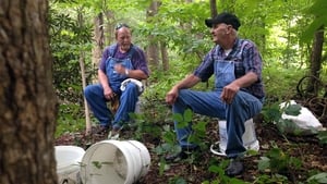 Moonshiners Trouble Brewing