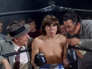 The Monkees Monkees in the Ring