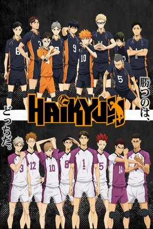 Haikyu!! Saison 3 Streaming Vostfr Complet 2016 HD | StreamComplet.network