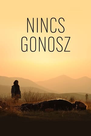 Nincs gonosz