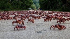 Island of the Hungry Ghosts