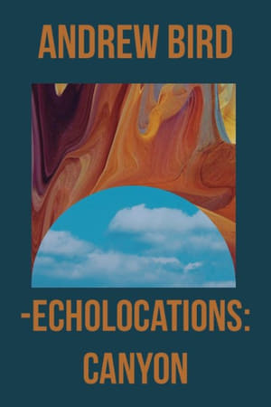 Poster Echolocations: Canyon (2015)