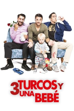 Poster 3 Turcos y un bebé 2015