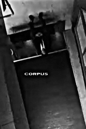CORPUS 4