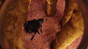 Shaun the Sheep: 4×11