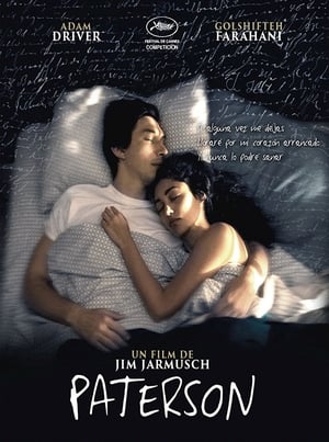 Poster Paterson 2016