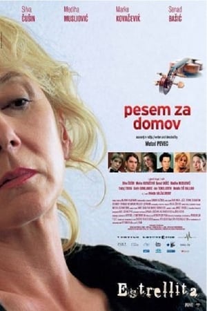 Poster Estrellita (2007)