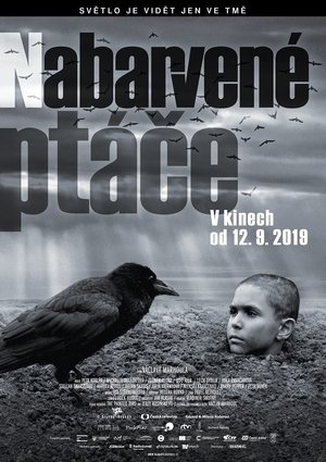 <Images posters
