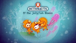 Octonauts The Jellyfish Bloom