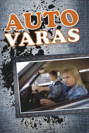 Poster Autovaras 1991