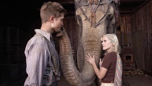 Water for Elephants (2011) Movie Download & Watch Online BluRay 720P & 1080p