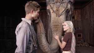 Water for Elephants (2011)