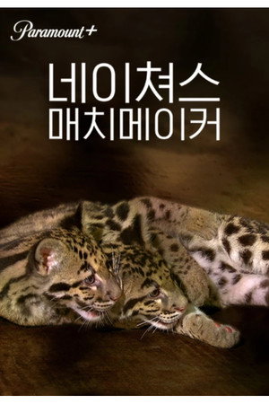 네이쳐스 매치메이커