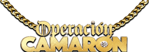 Operación Camarón — Logos 2