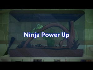 Ninja Power up Part I