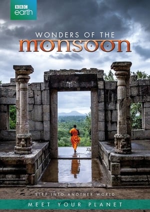 Poster Tierras del monzón 2014
