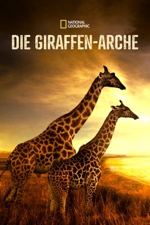 Image Die Giraffen-Arche