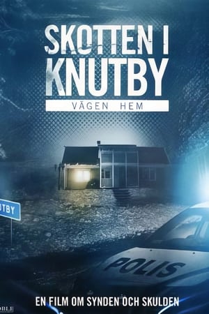 Poster Vägen hem (2009)