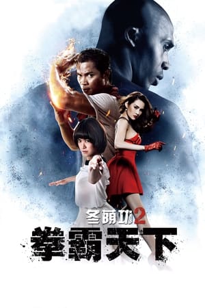 Poster 冬荫功2：拳霸天下 2013