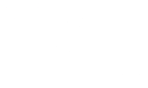 The Youngest Profession — Logos 1
