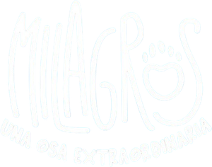 Milagros: Una osa extraordinaria