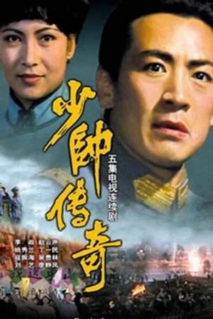 Affiche de 少帅传奇