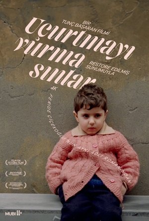 Image Uçurtmayı Vurmasınlar