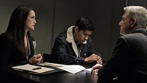 Navy: Investigación criminal Temporada 7 Capitulo 14