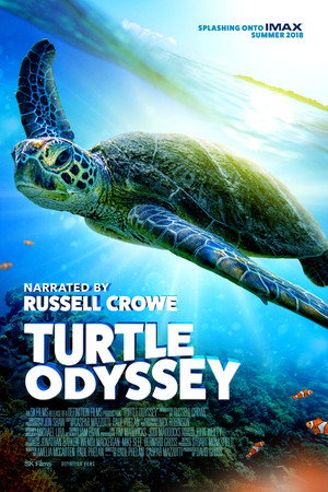 Turtle Odyssey 7