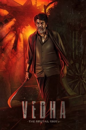 Vedha 2022 South Hindi Dubbed + Kannada WEB-DL 1080p 720p 480p x264