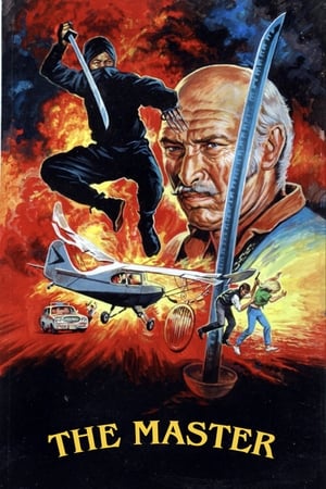 Poster Master Ninja 1984