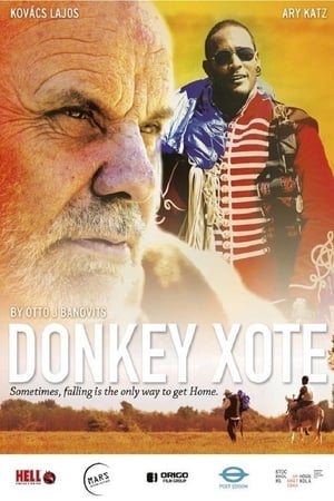 Poster Donkey Xote (2016)