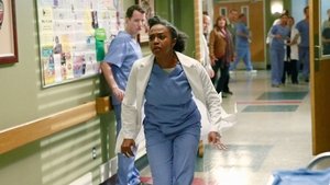 Grey’s Anatomy 11 x Episodio 19