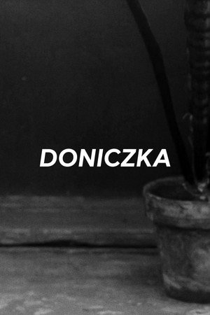 Doniczka