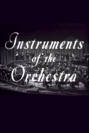 Instruments of the Orchestra poster